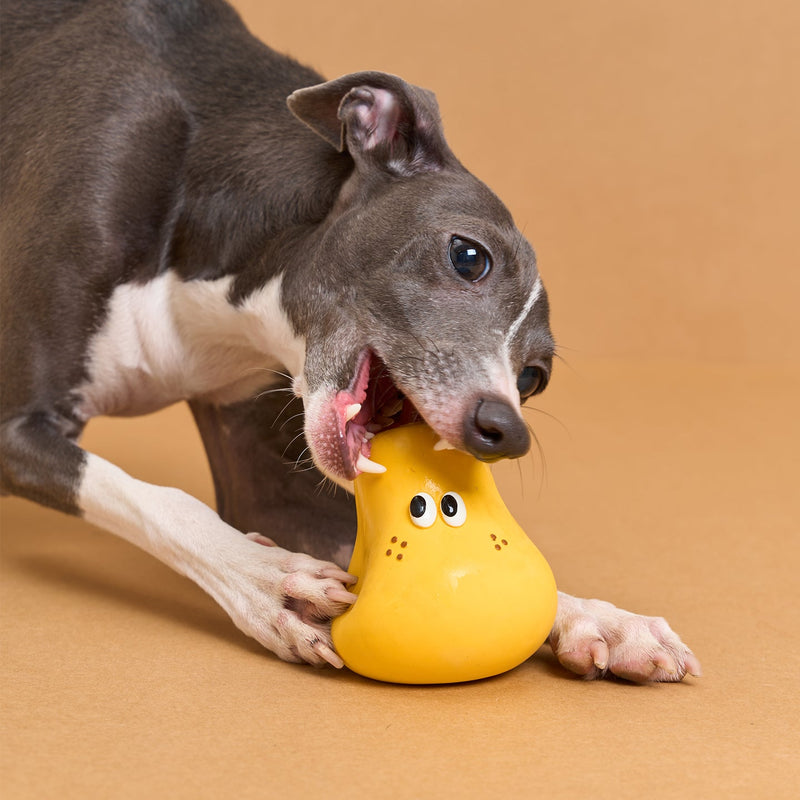 zeze Fruit & Veg Latex Squeaky Toy — Broccoli, Apple, Pear or Orange