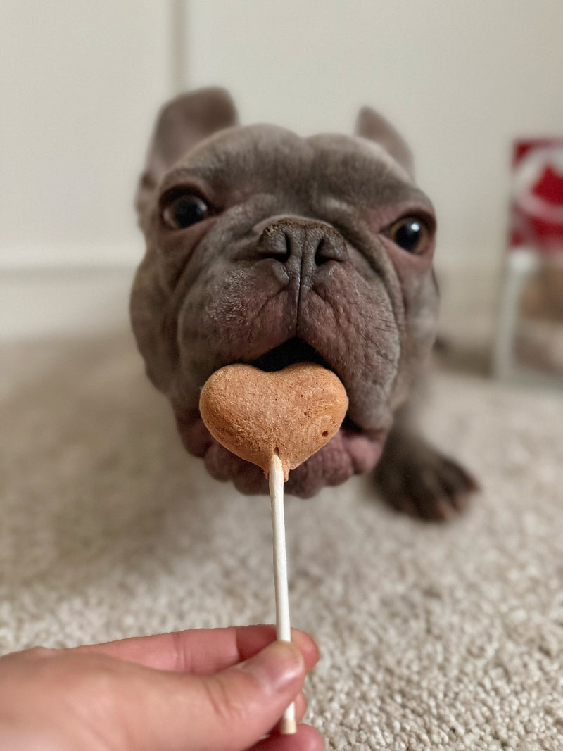 Waita Freeze-Dried Duck Lollipops – 5 Packs