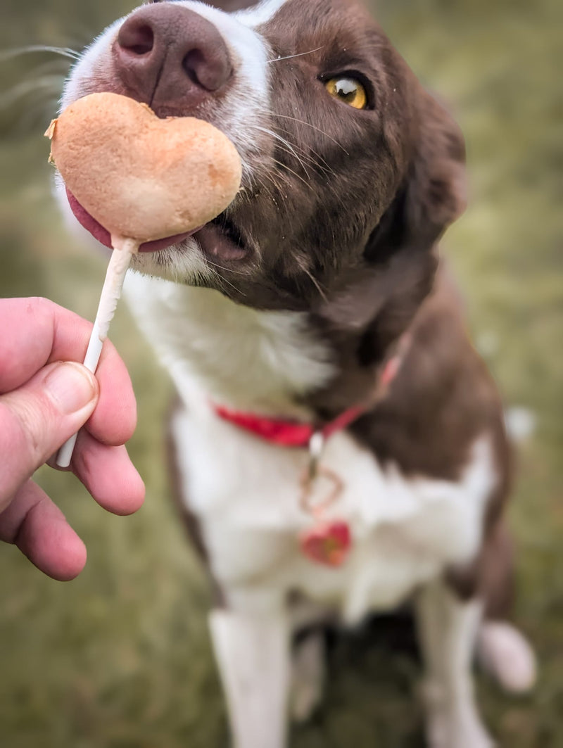 Waita Freeze-Dried Duck Lollipops – 5 Packs