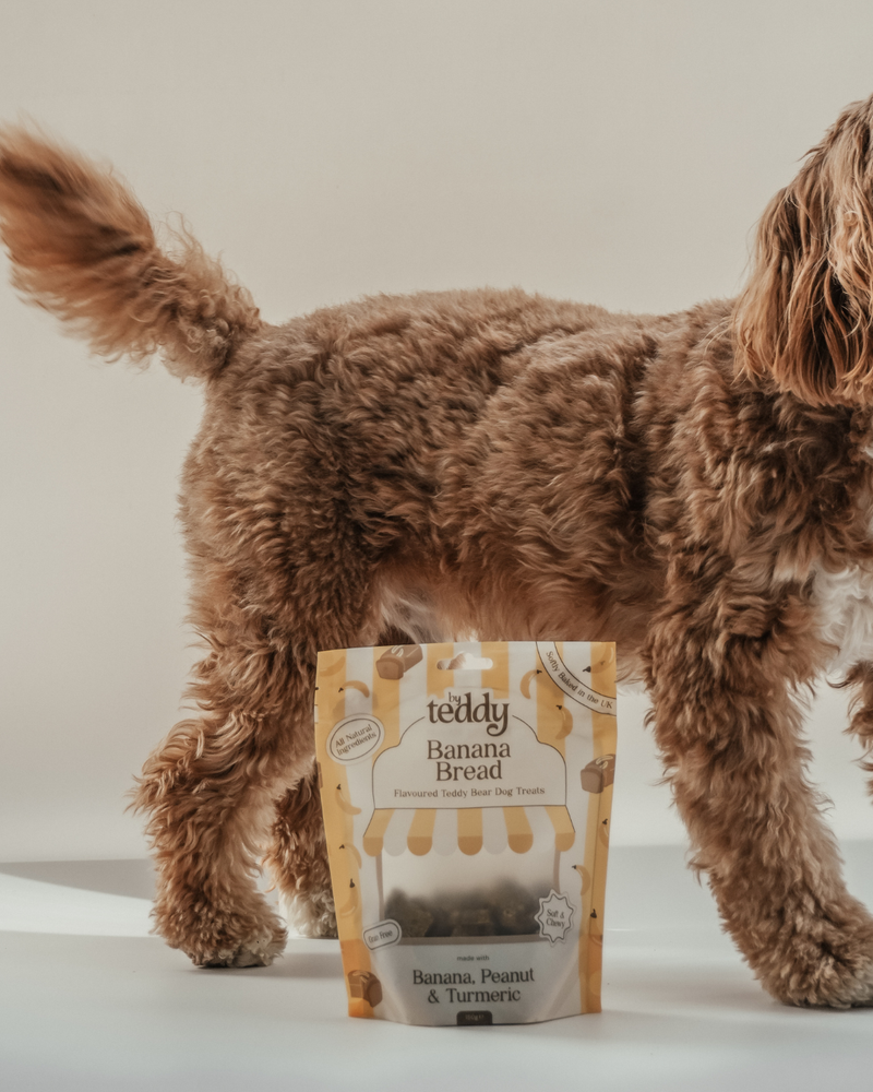 Banana Bread Teddy Bear Soft Treats