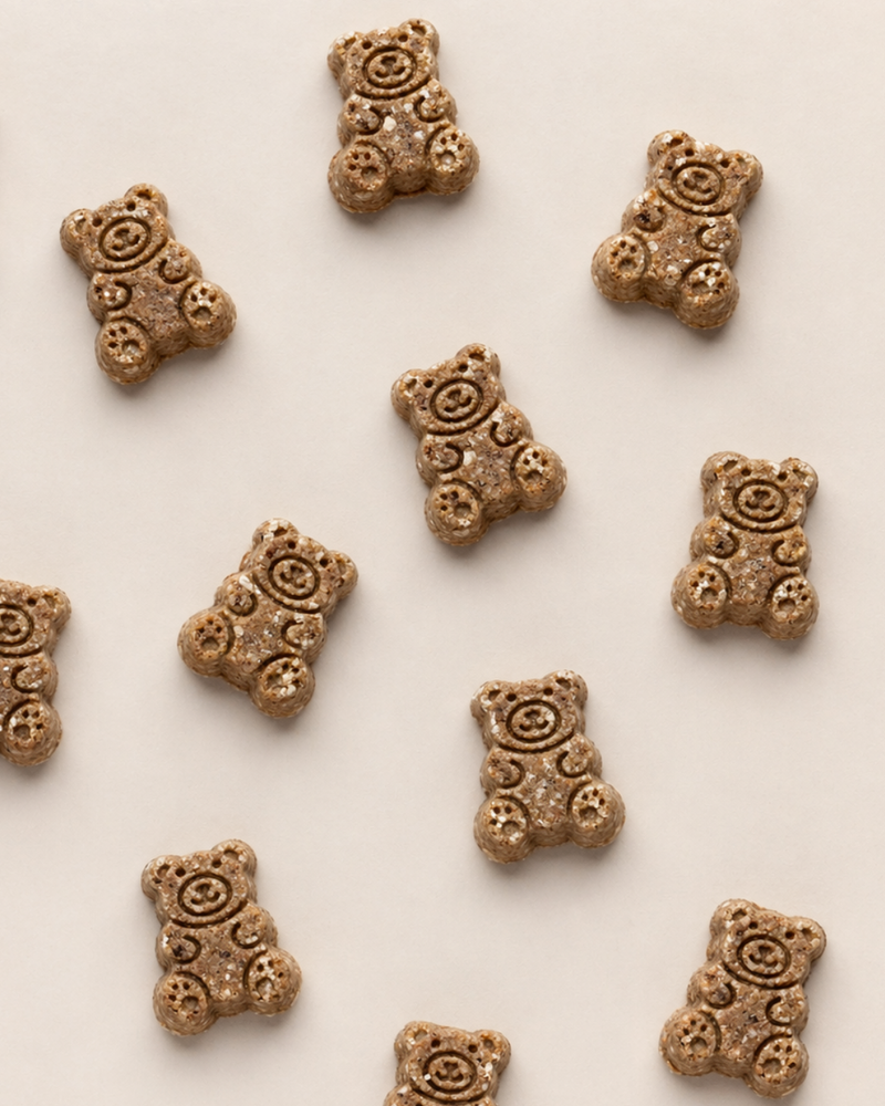 Blueberry Pancake Teddy Bear Soft Treats