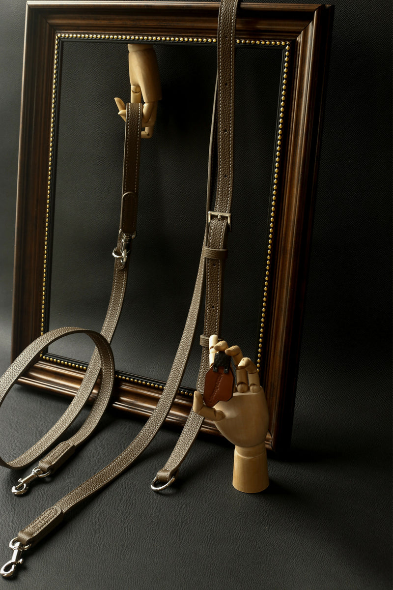 Multifunctional Two-Way Crossbody Leather Lead