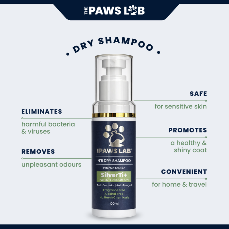 N’5 Dry Shampoo