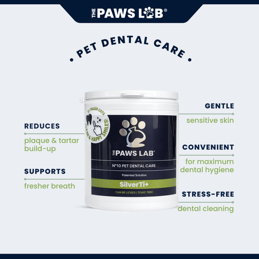 N’10 Pet Dental Care