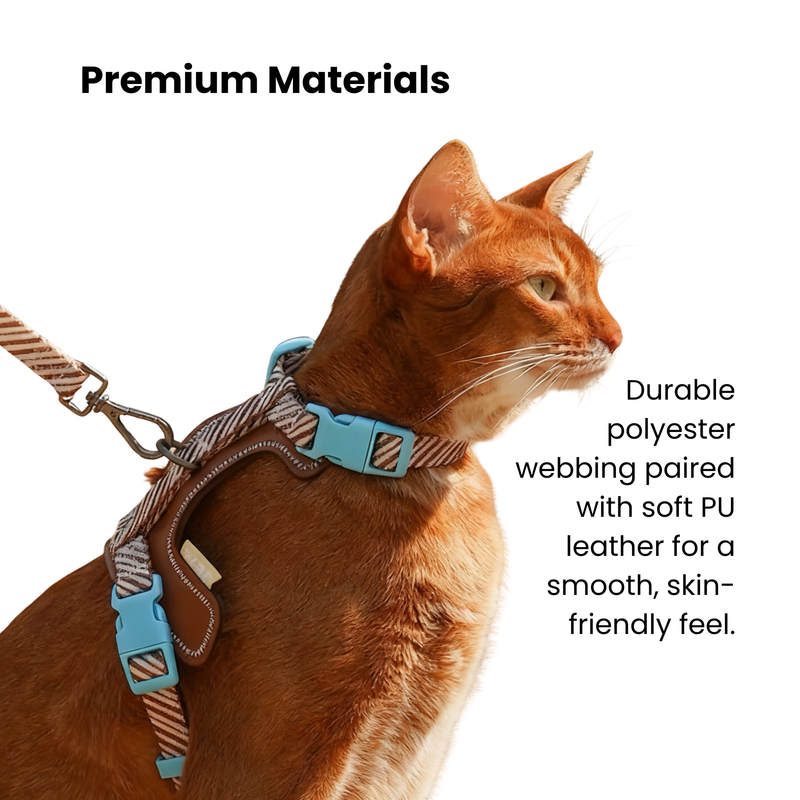 Pet Leash & Harness Set