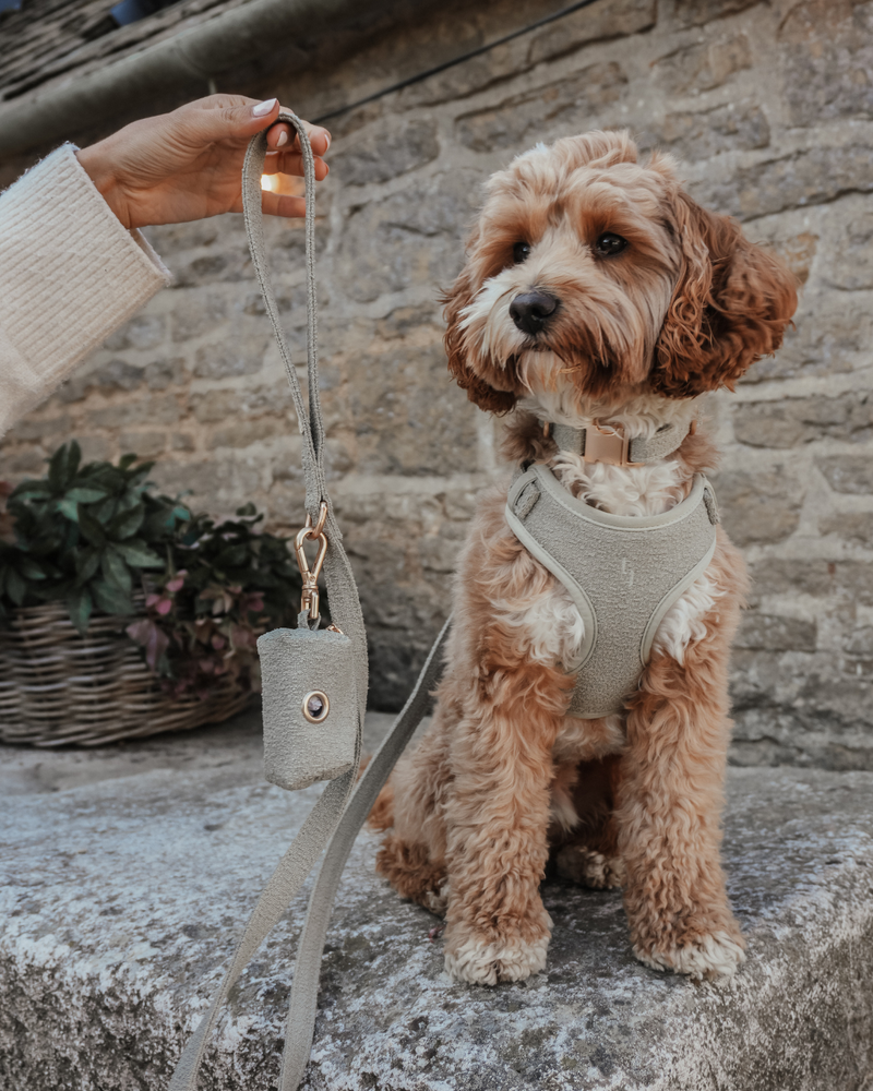 Matcha┃Bouclé Adjustable Harness