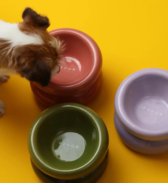 Soufflé Pet Bowl Purple 8