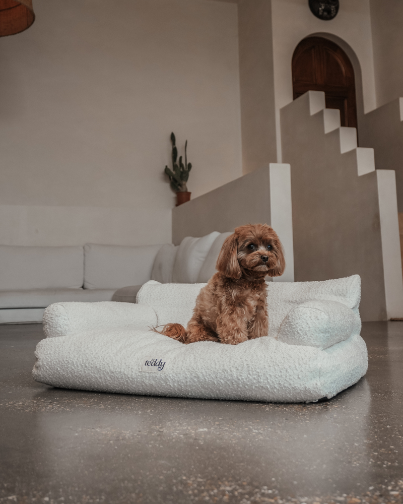 Marshmallow | The Teddington Sofa