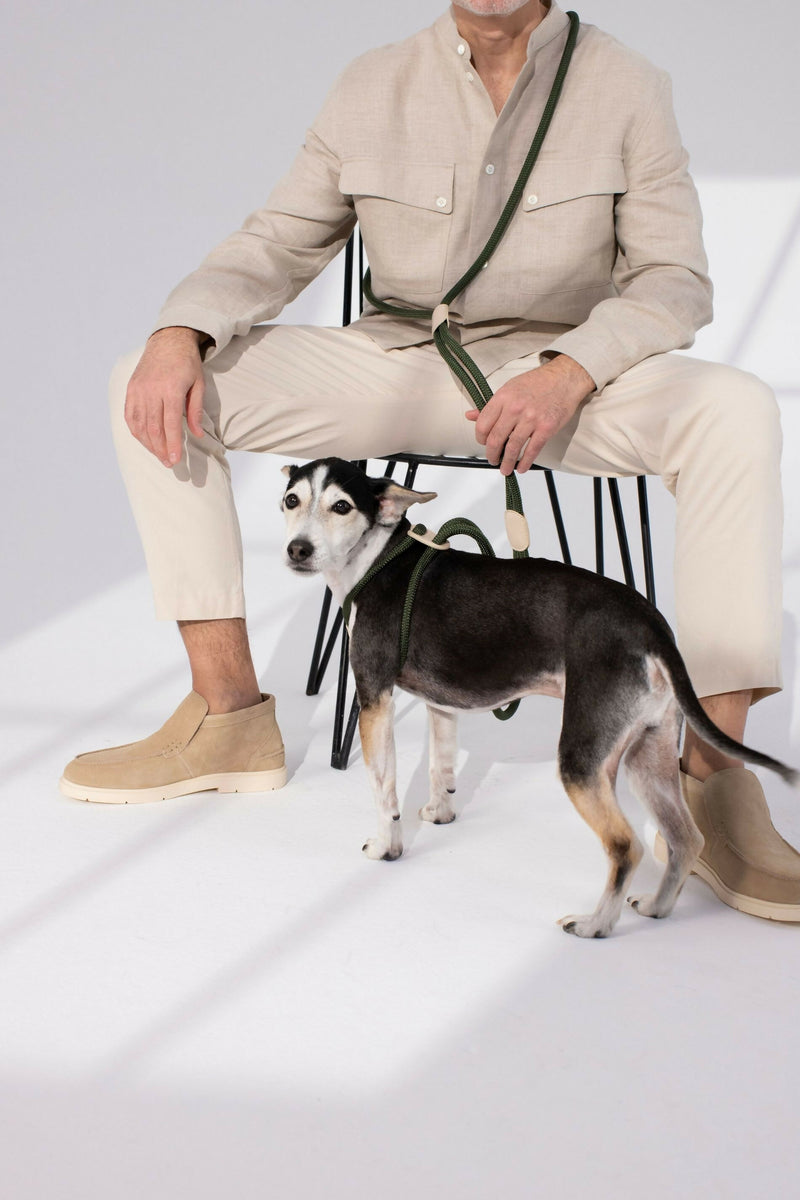All-in-one Paracord Dog Harness