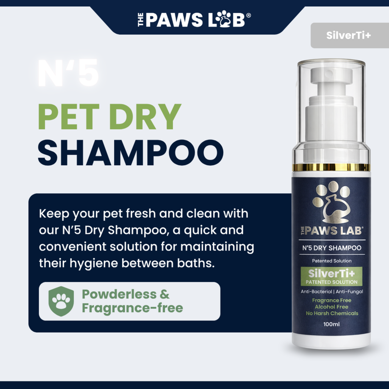N’5 Dry Shampoo
