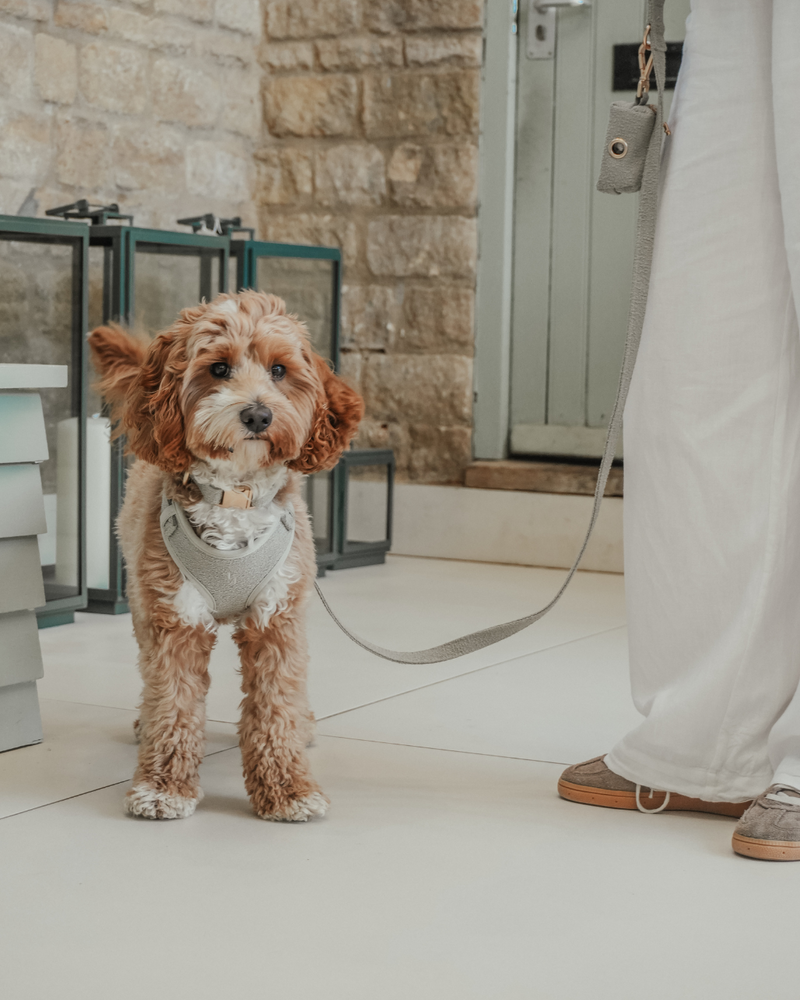 Matcha┃Bouclé Adjustable Harness