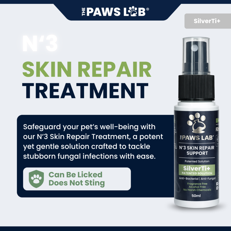 N’3 Skin Repair Support