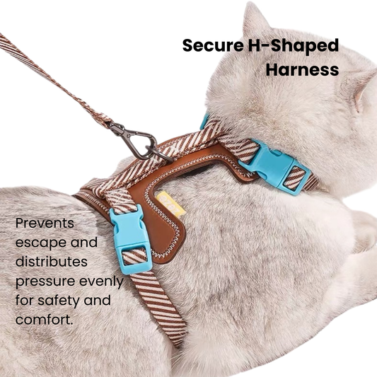 Pet Leash & Harness Set