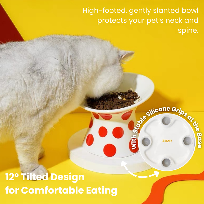 Popart Ceramic Pet Bowl