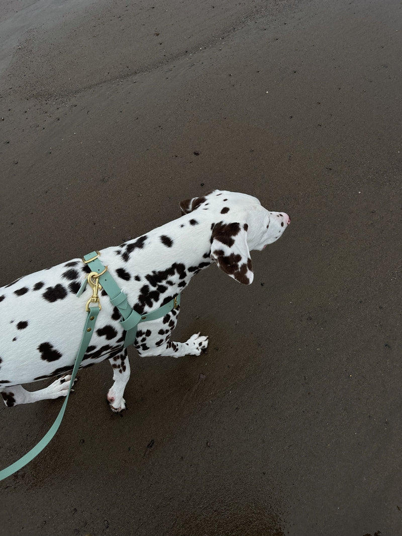 Waterproof Jellies Harness - Harbour