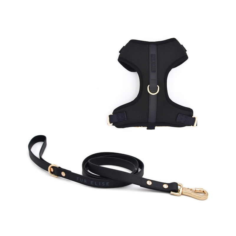 Elise Harness & Leash Set - Noir