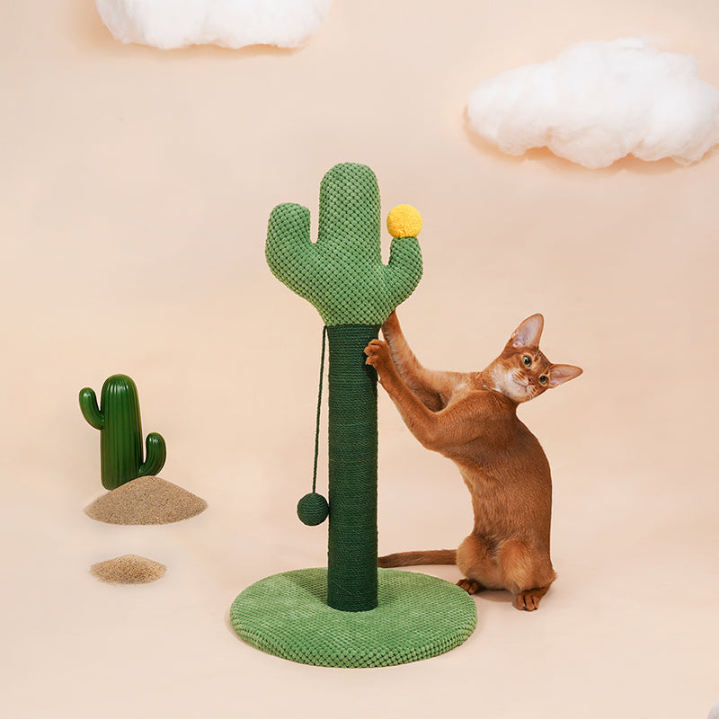 zeze Cactus Cat Scratching Post — Rope-Wound Column with Dangling Pom-Pom