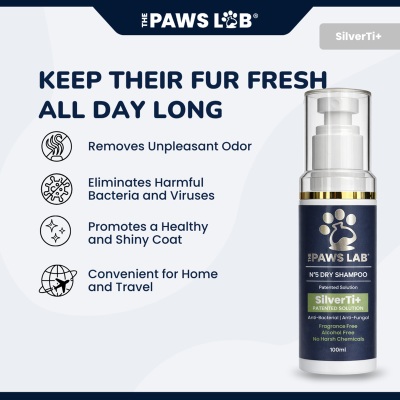 N’5 Dry Shampoo