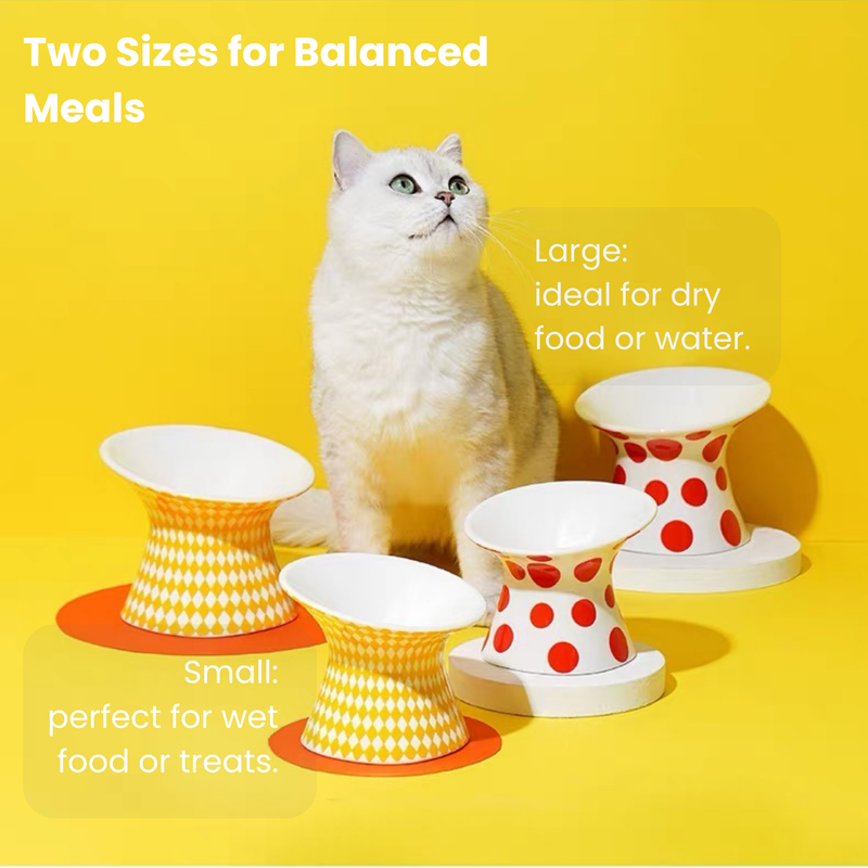 Popart Ceramic Pet Bowl