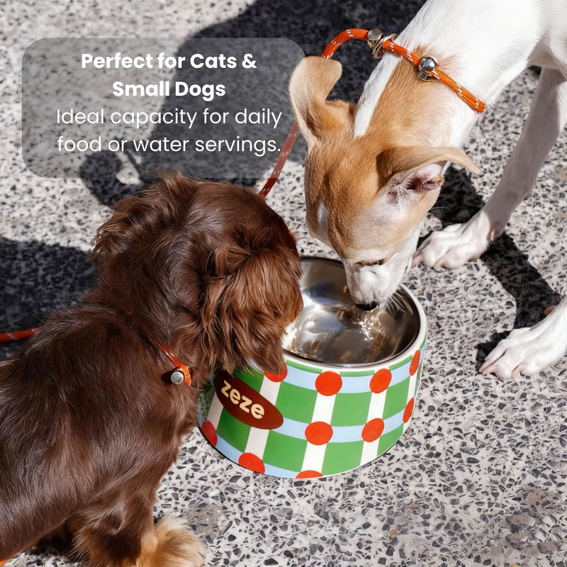Detachable Pet Metal Bowl