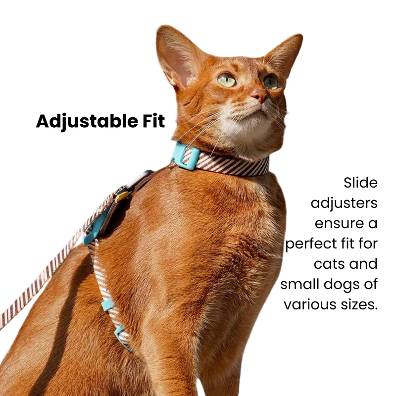 Pet Leash & Harness Set