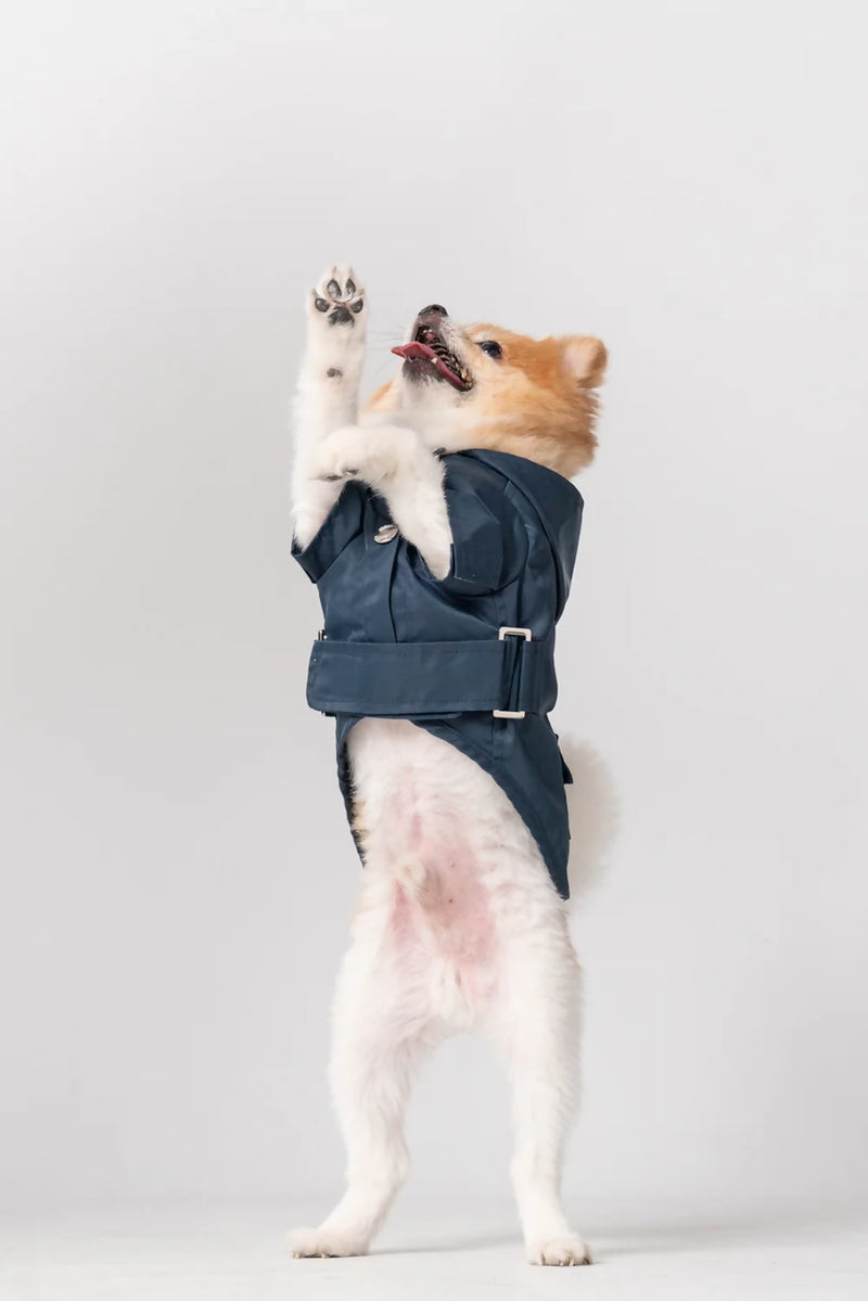 Bowery Raincoat Blue Action