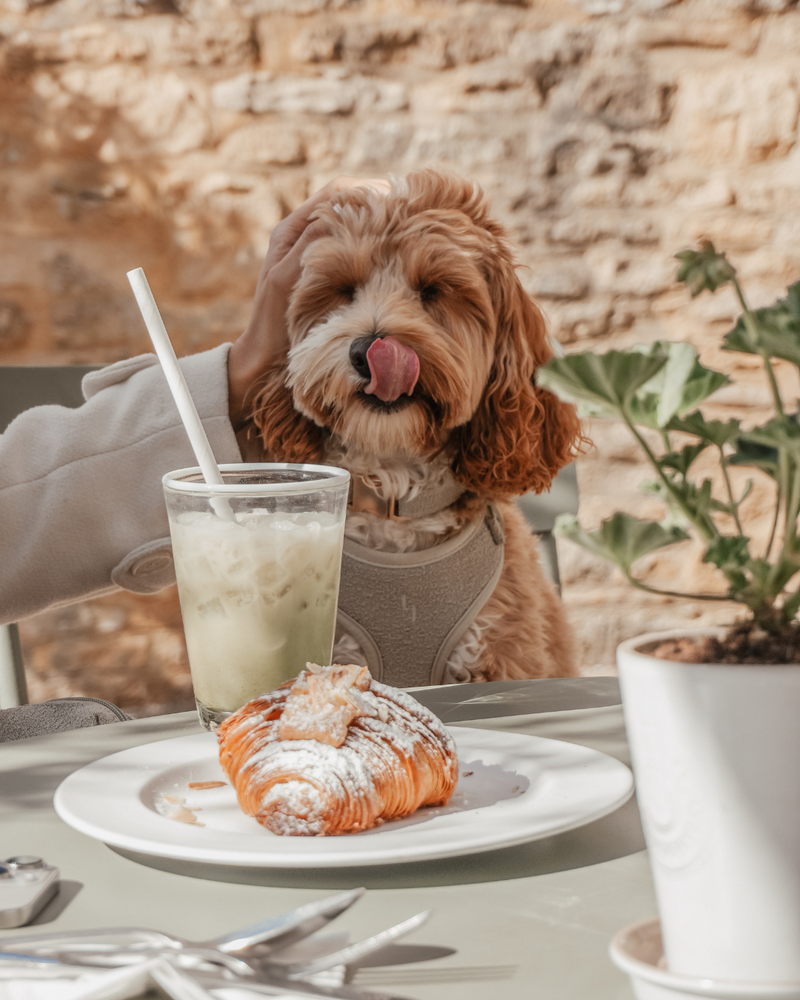 Matcha┃Bouclé Adjustable Harness