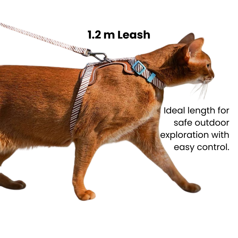 Pet Leash & Harness Set