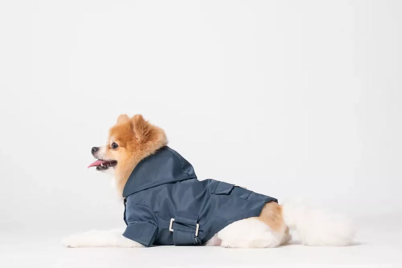 Bowery Raincoat Blue Lay