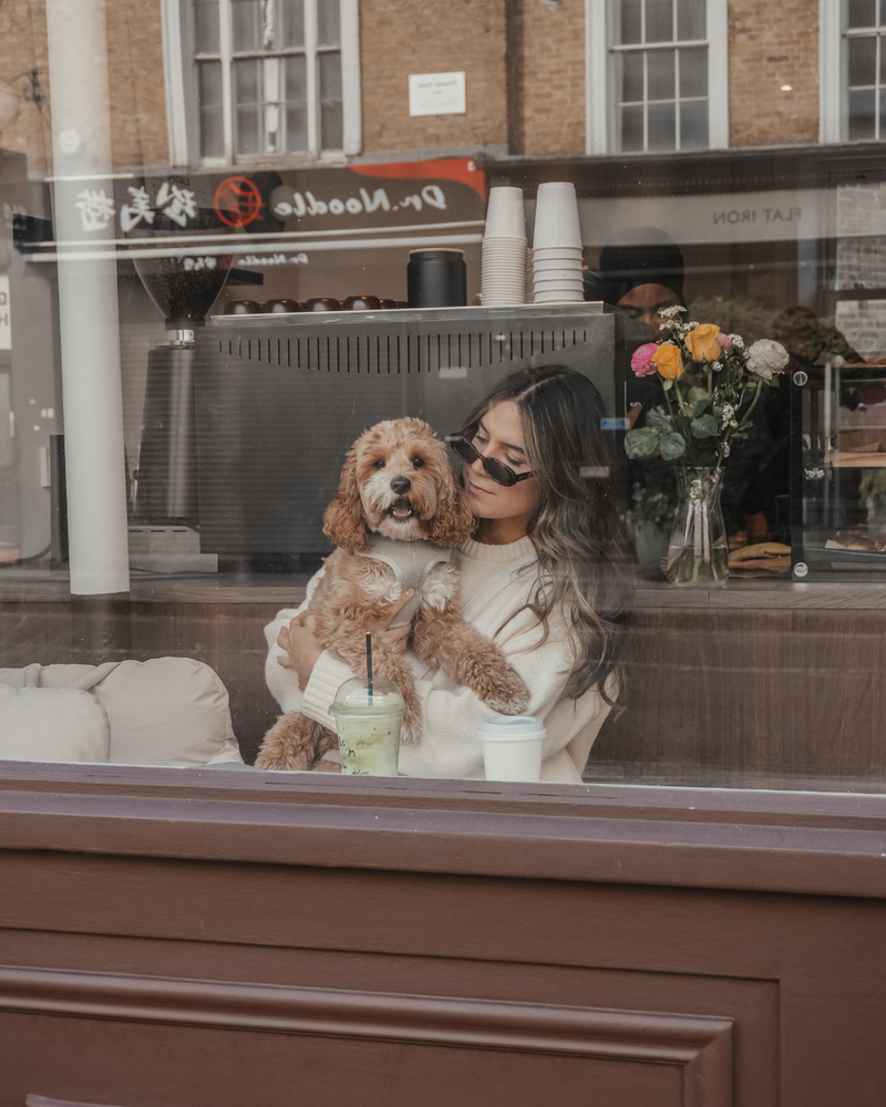 Matcha┃Bouclé Adjustable Harness