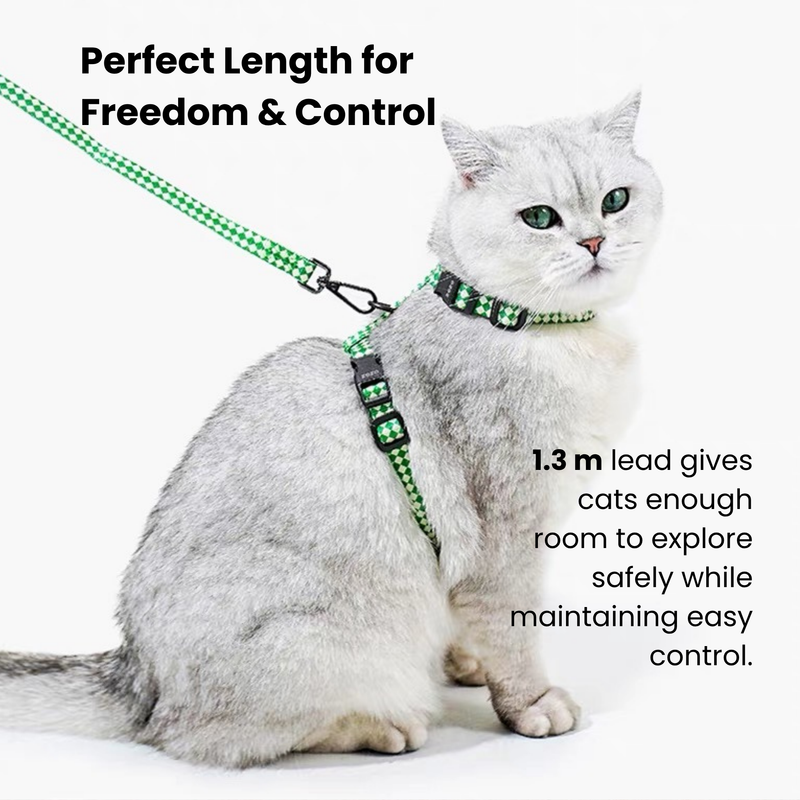 Plaid Cat Harness & Leash Set