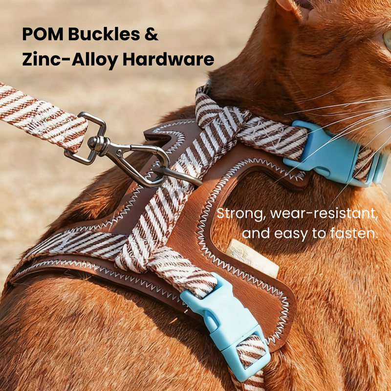 Pet Leash & Harness Set