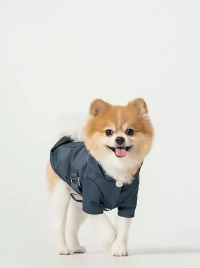 Bowery Raincoat Blue Move