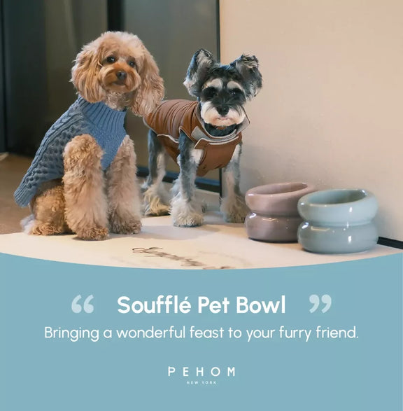 Soufflé Pet Bowl Frozen Blue 16