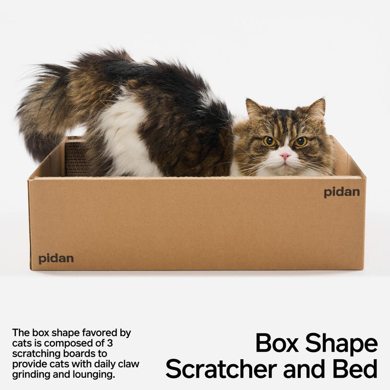 Box Cat Scratcher