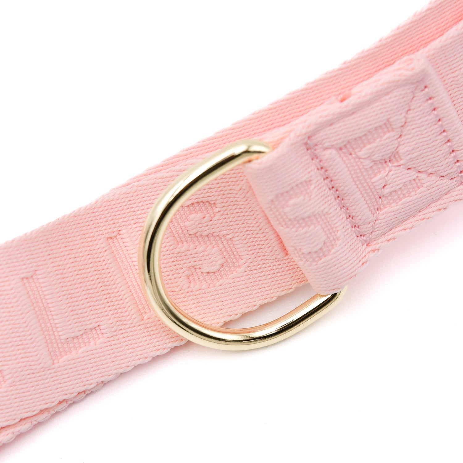 Belt bag d-ring