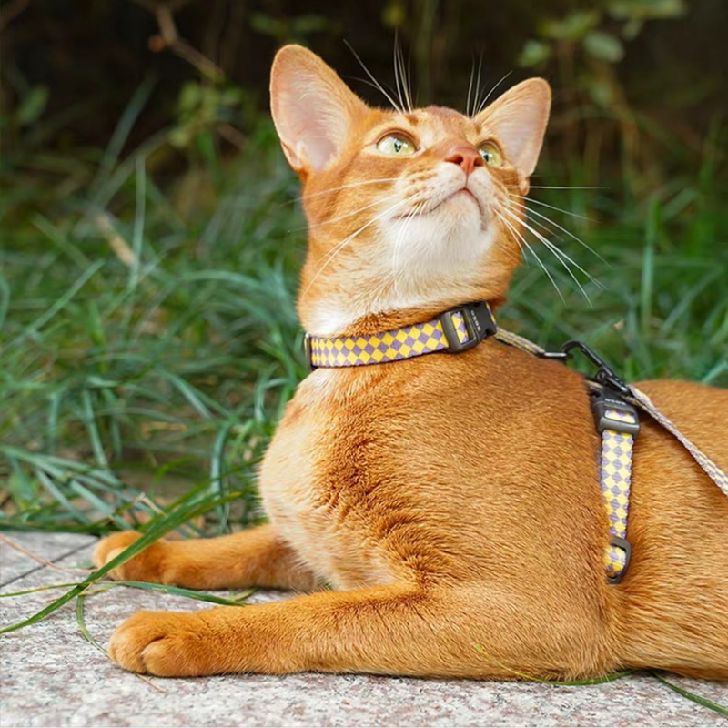 Plaid Cat Harness & Leash Set