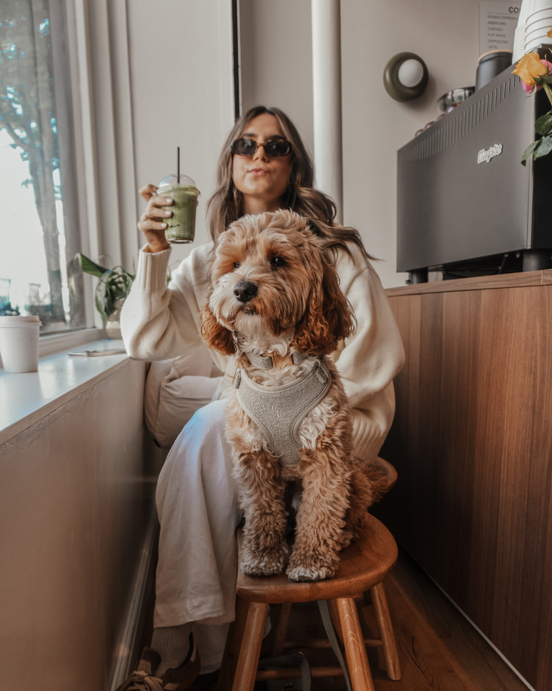 Matcha┃Bouclé Adjustable Harness