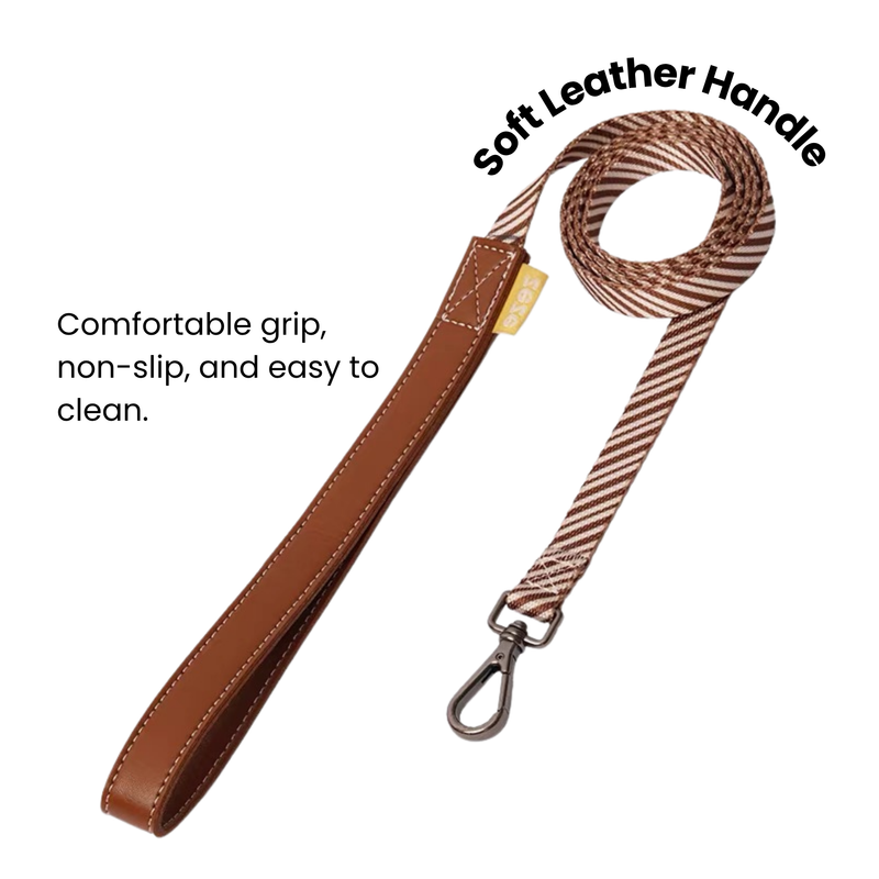 Pet Leash & Harness Set