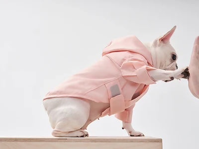 Tribeca Adjustable Velcro Raincoat Pink Paw