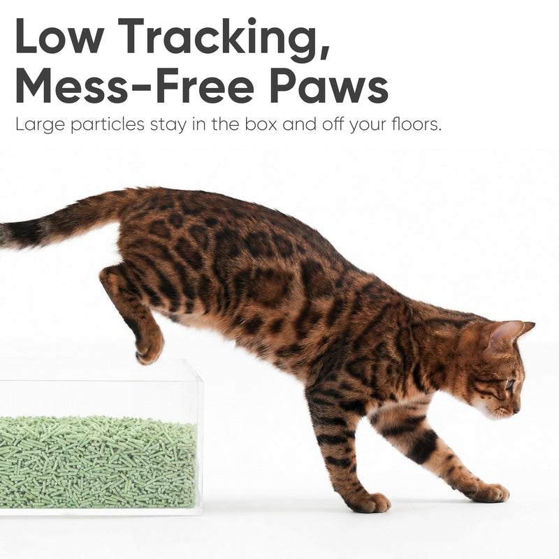 Green Tea Tofu Cat Litter