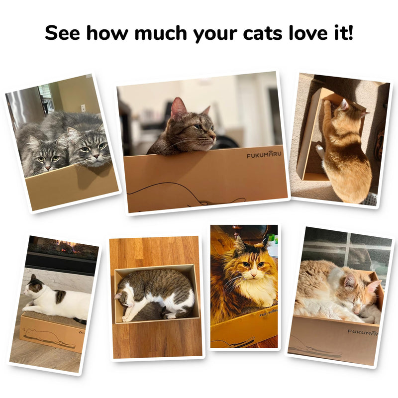 Cat Scratcher Box with 5 Reversible Cardboard Refill Pads — 2-in-1 Scratch Pad & Lounger (40 x 28 cm)