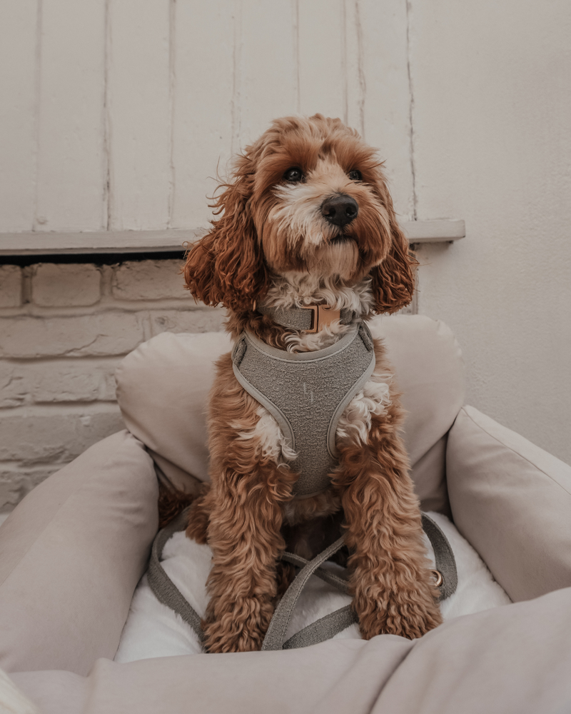 Matcha┃Bouclé Adjustable Harness
