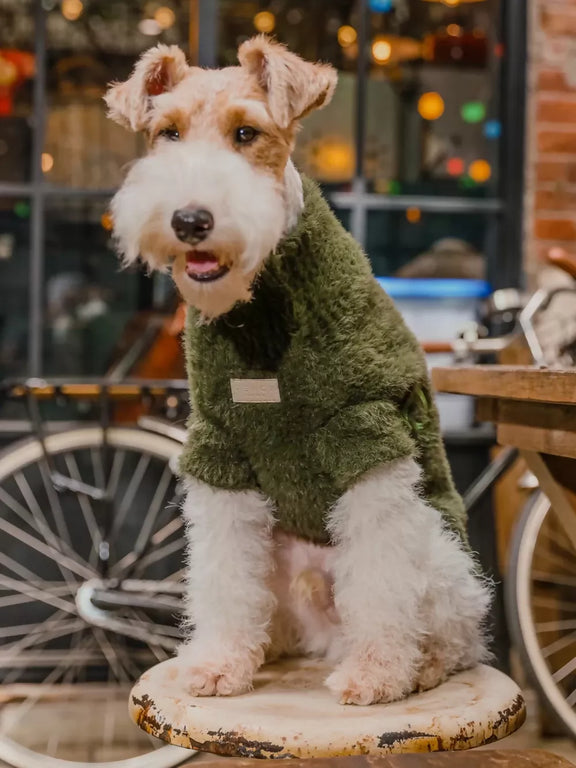 Eskimo Fuzzy Sweater Green Look