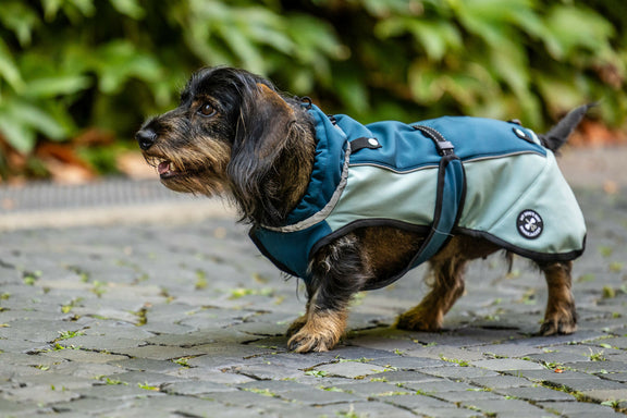 Lotti Bild-33
