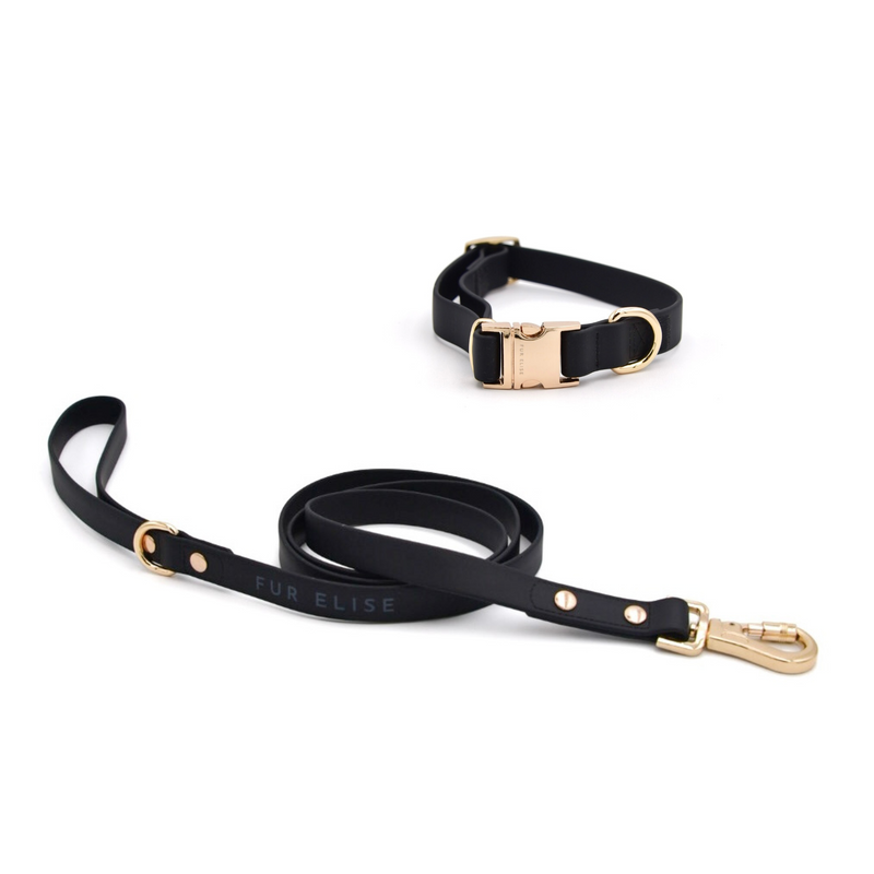 Elise Collar & Leash Set - Noir