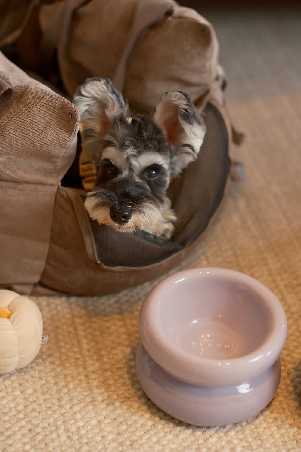Soufflé Pet Bowl Purple 2