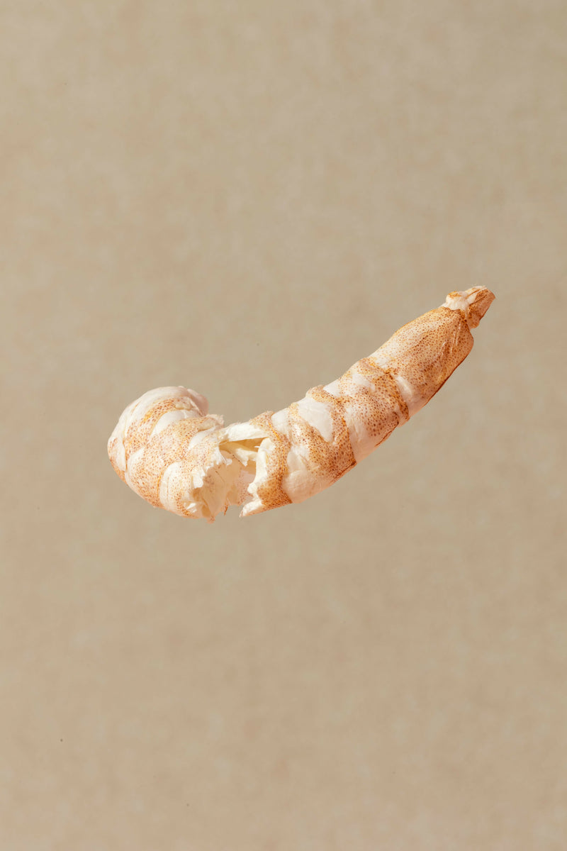 FREEZE-DRIED PRAWN