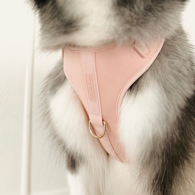 Elise Harness - Rose