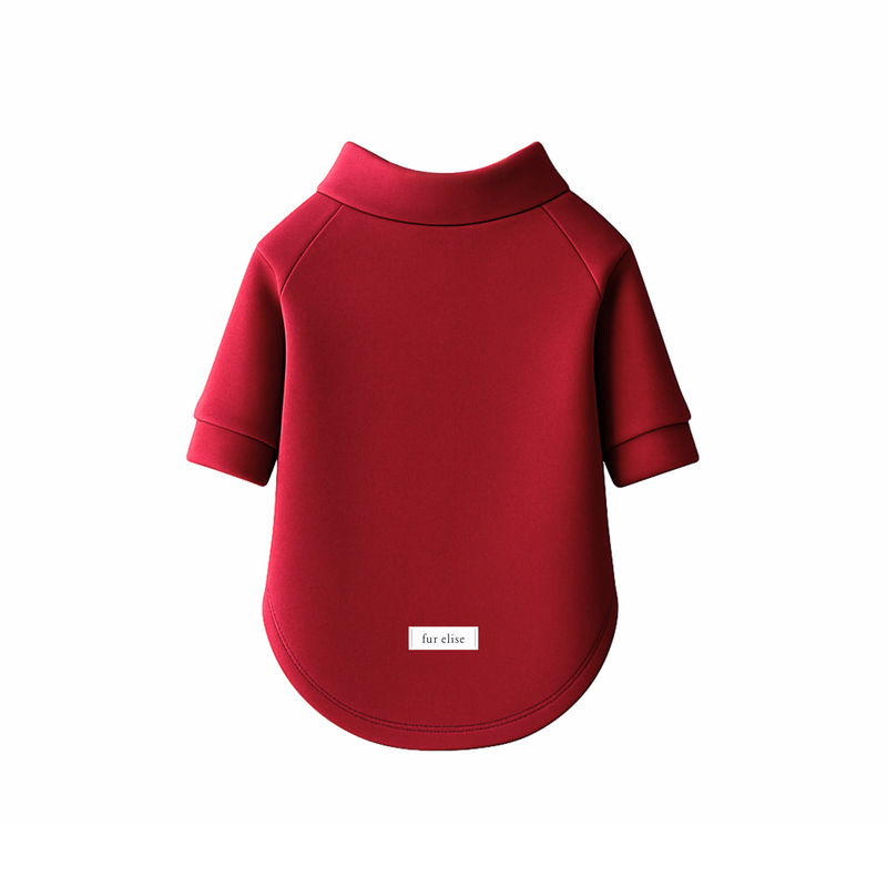Fur Elise Spoiled Mock Neck Shirt - Lucky